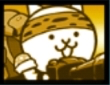 ネコカメラマン