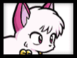 シャンプー（猫）