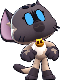 キット スキン4