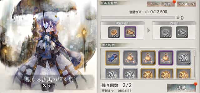 ギルドレイド ステラ(冬)