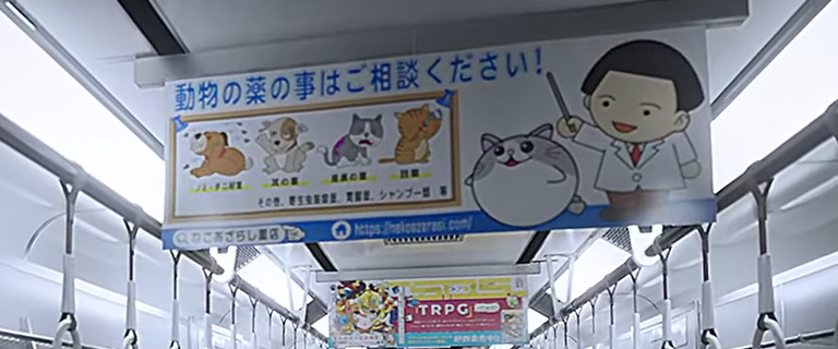 ねこあざらし薬局