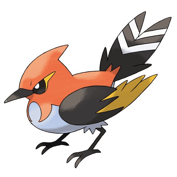 ポケモンZA ヒノヤコマ