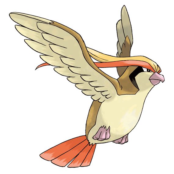 ポケモンZA ピジョット