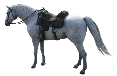 RDR2 最高級馬 アラブ