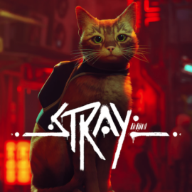 Stray攻略