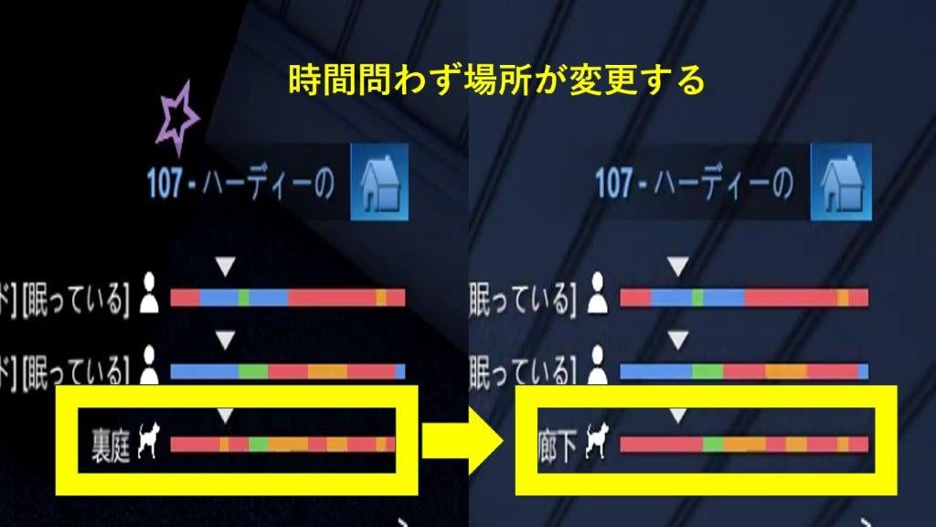 犬はイレギュラーな行動をとる